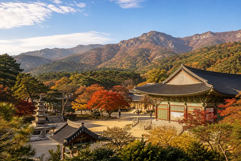 八公山・桐華寺